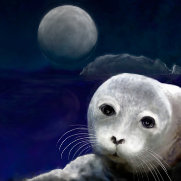 'Seal Pup in the Moonlight, Trinidad', 6x8