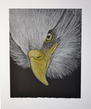Bald Eagle by Patricia Sundgren Smith