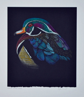 Wood Duck by Patricia Sundgren Smith