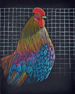 Leghorn Rooster by Patricia Sundgren Smith
