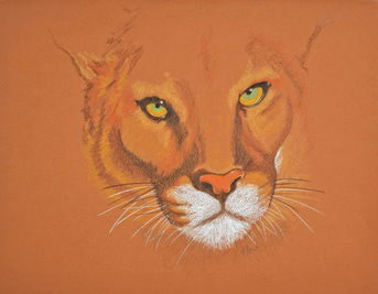 Cougar by Patricia Sundgren Smith